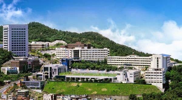 Cơ sở vật chất đẹp và hiện đại của Dongwon