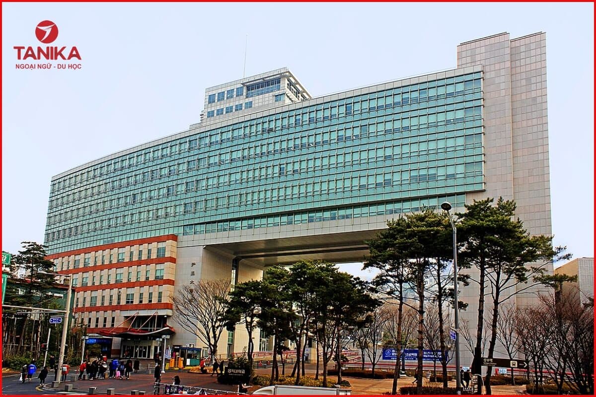 Thông tin tổng quan về Đại học Hongik