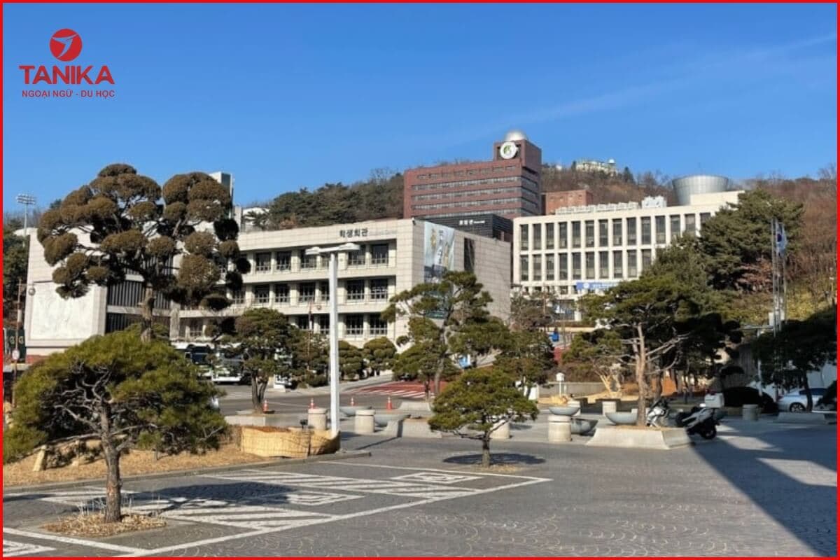 Lý do lựa chọn Đại học Sungkyunkwan