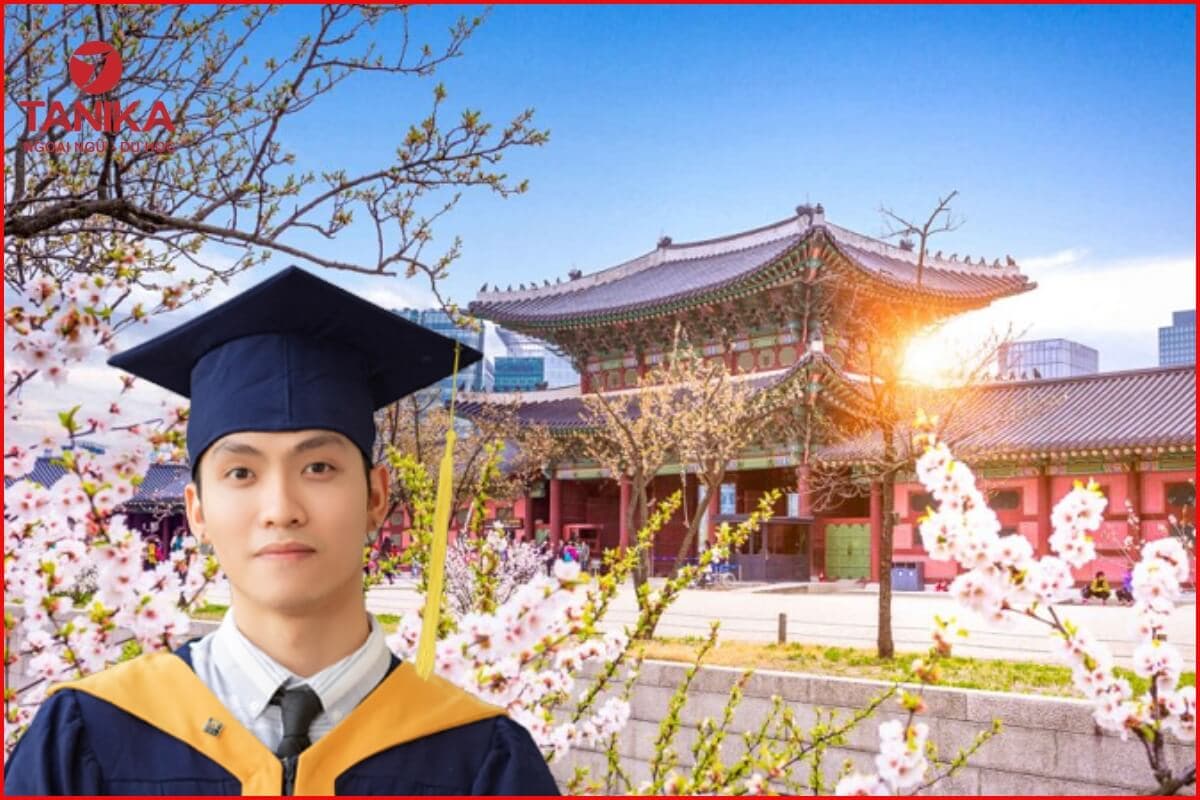 Lời giải cho những băn khoăn thường gặp khi du học Hàn Quốc