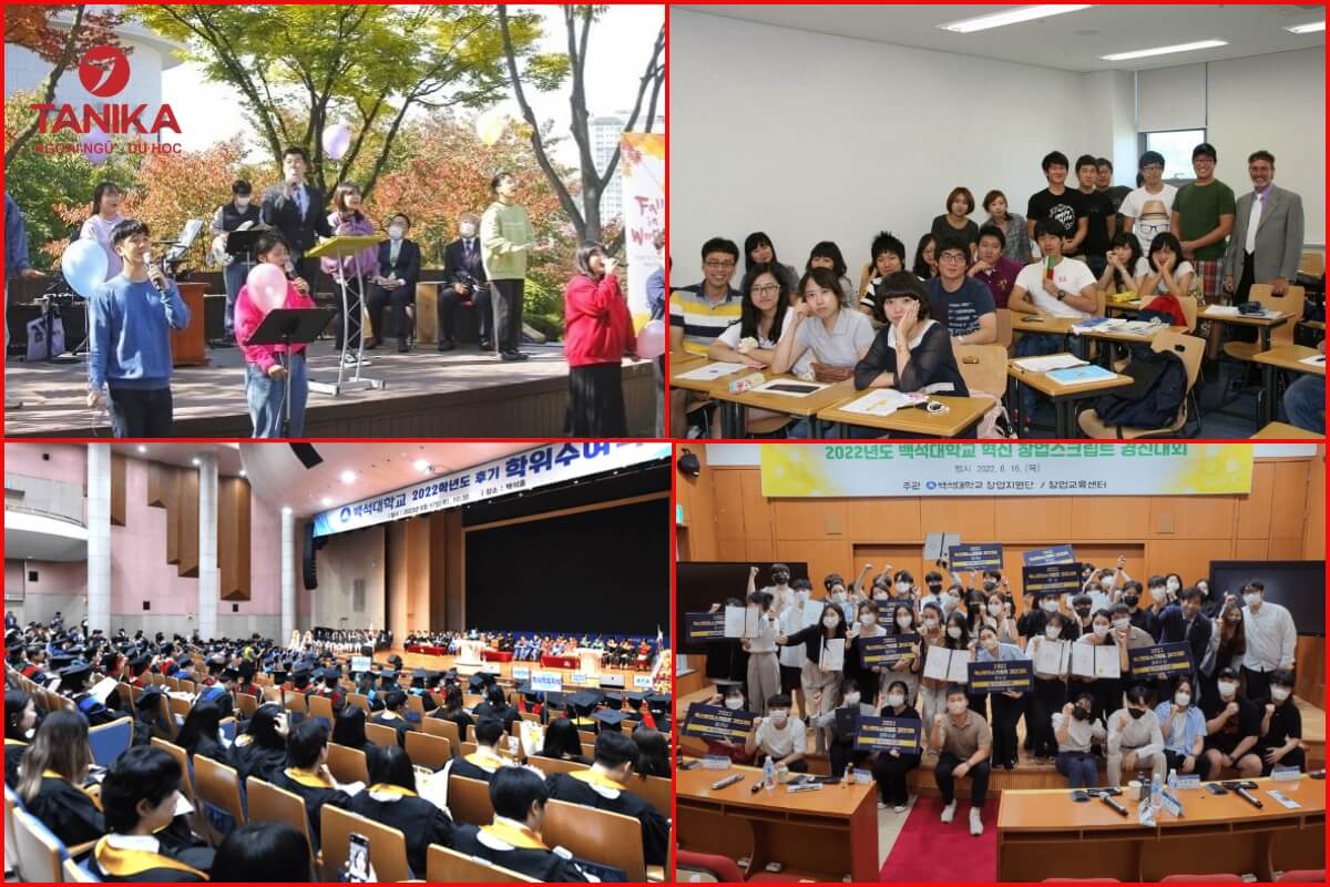 Chương trình Đại học tại Đại học BAEKSEOK Hàn Quốc