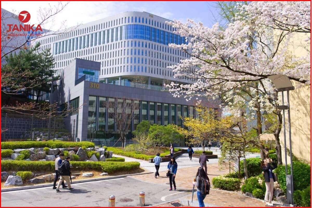 Chương trình Đại học tại trường Đại học Chung-Ang