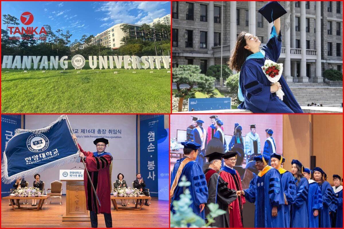 Chương trình đào tạo hệ Đại học tại trường Hanyang