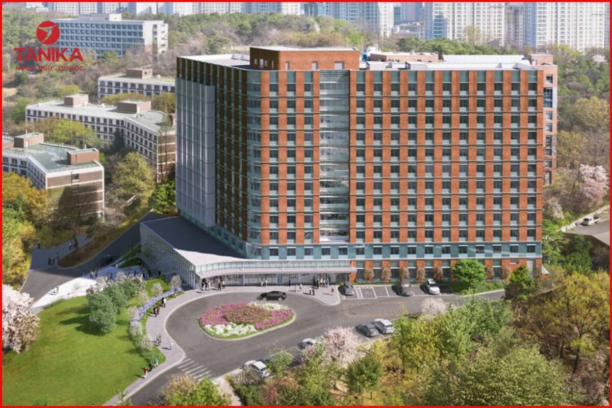Tổng quan về Đại học Inha