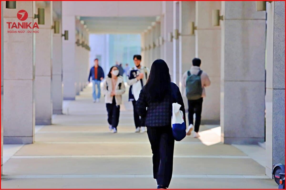 Chương trình đào tạo chuyên ngành và học phí của Đại học Inha
