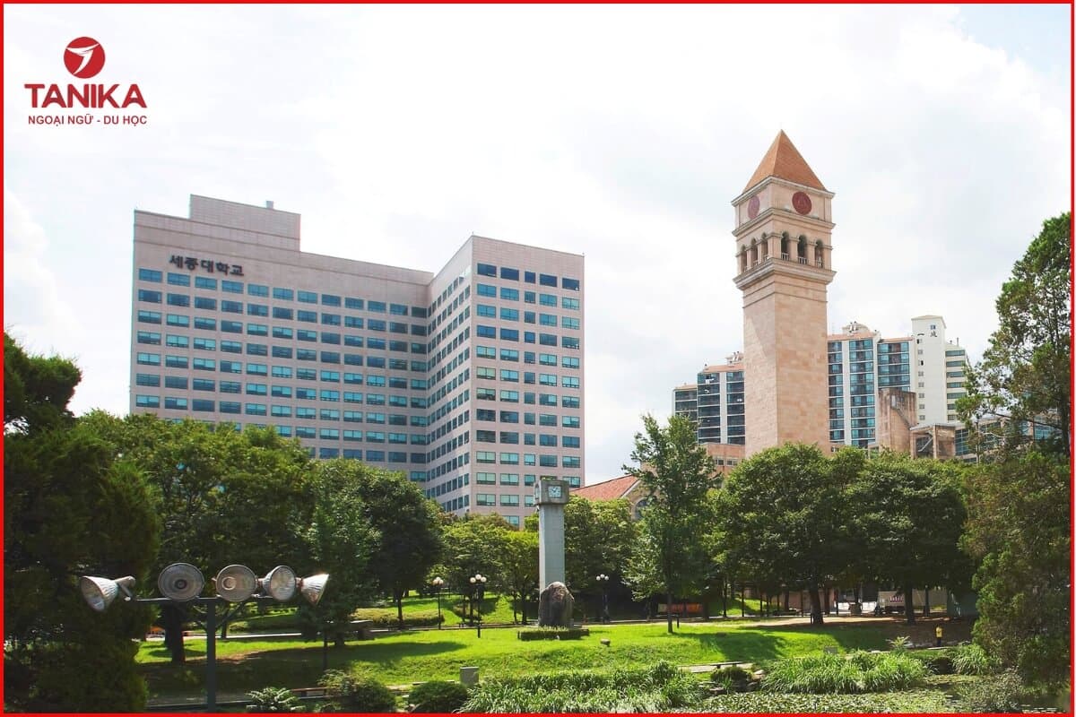 Học phí tại Đại học Sejong