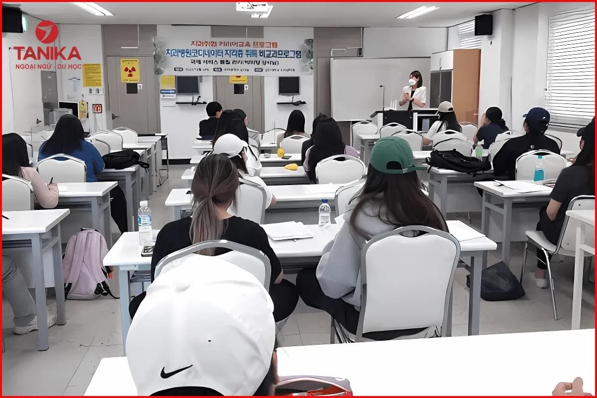 Chương trình đào tạo tiếng hàn tại trường Đại học Gimcheon