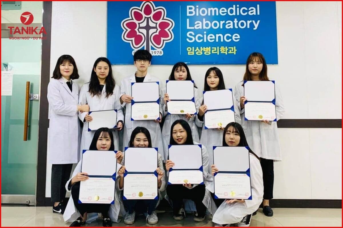 Chương trình Đại học tại trường Đại học Gimcheon Hàn Quốc